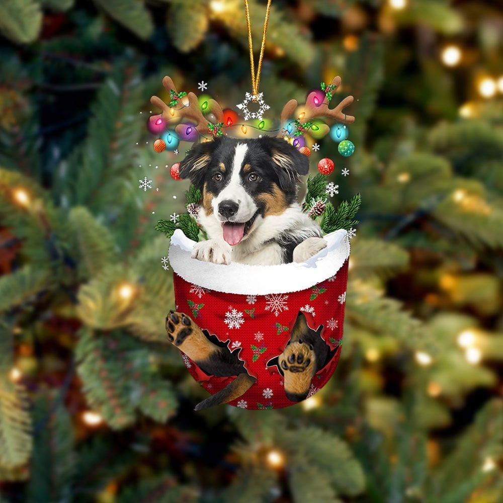 Australian Shepherd 2 In Snow Pocket Ornament