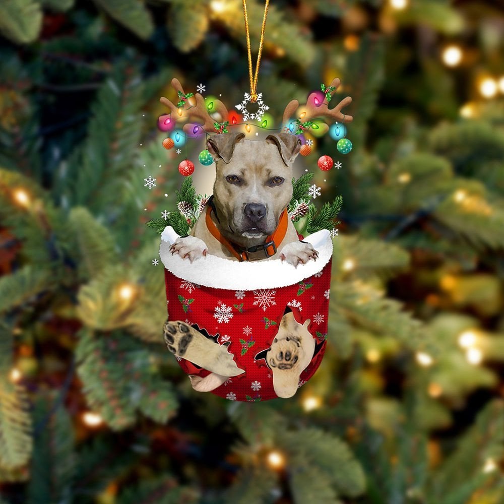 Pitbulll 02 In Snow Pocket Ornament